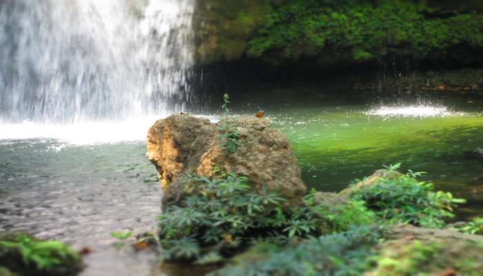 The entrance to the Corbett Falls gives a breathtaking view.