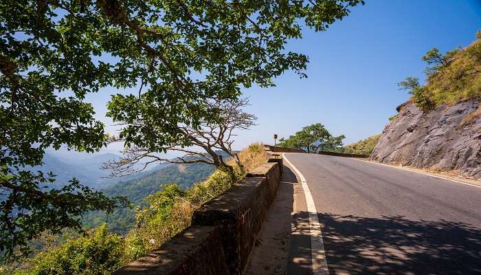 A road in Mangalore.