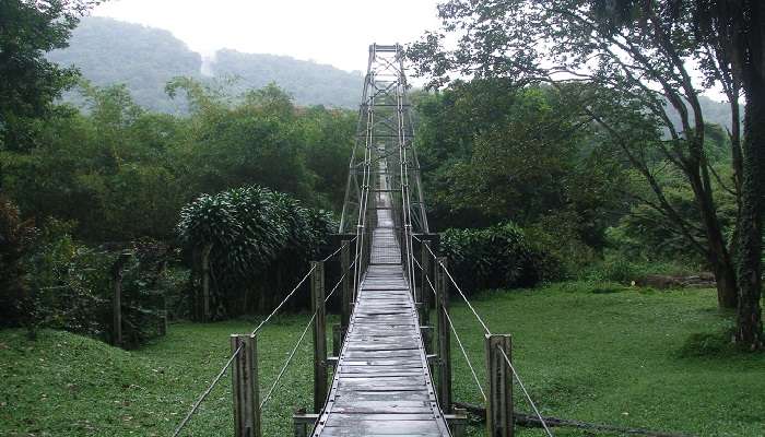 Bridge that connects the people with nature closely 
