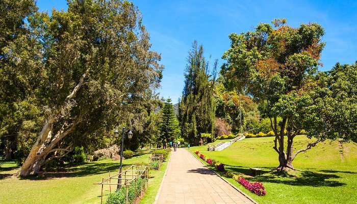 A beautiful path in the Victoria Park in Nuwara Eliya