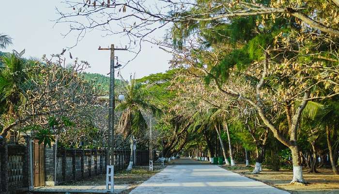 During summers you can experience the true and flamboyant trees at Quy Nhon village