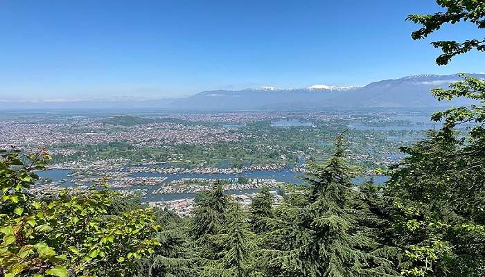  A panoramic view of Srinagar and lakes from Shankaracharya Temple