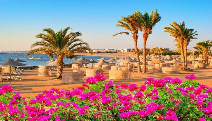 The panoramic vista of a beach in Egypt