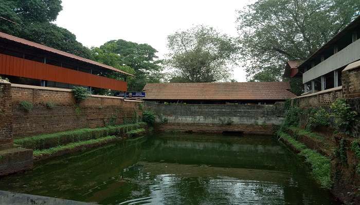Inside pond of the Chottanikkara Temple