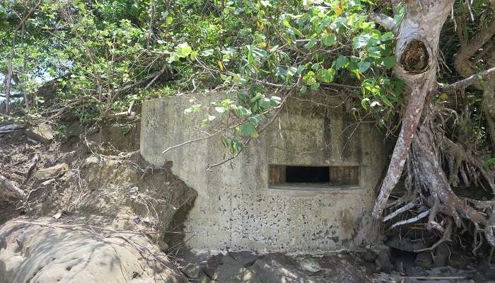 Japanese Bunkers history is a fascinating one as it depicts the bygone era