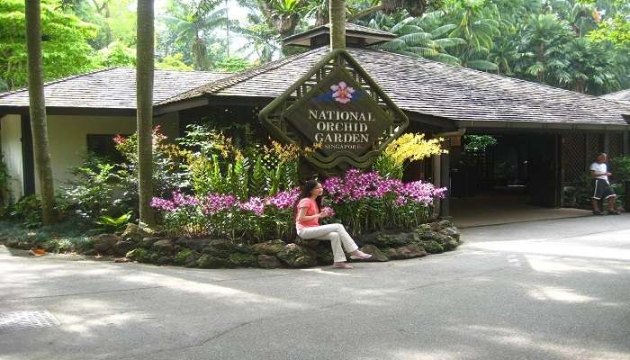Jardin national des orchidées, C’est l’une des meilleurs attractions touristiques de Singapour