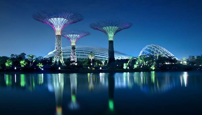 Jardins au bord de la baie, C’est l’une des meilleurs attractions touristiques de Singapour