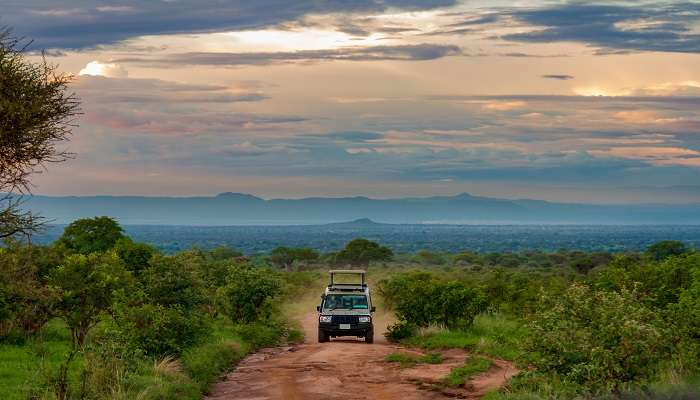 Safari Jeep dapat menampung lebih dari 5 orang