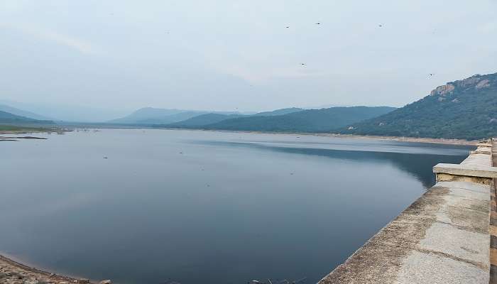 Terletak di seberang Sungai Swarnamukhi, Bendungan Kalyani tidak diragukan lagi merupakan salah satu tempat terbaik untuk dikunjungi di dekat Tirupati