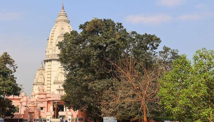 Devotees from all around the world to visit Kashi Vishwanath Mandir and seek blessings