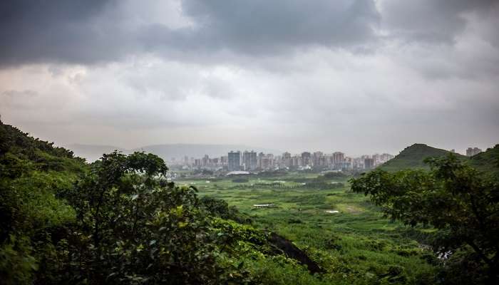 Perfect for hiking and thrill seekers, Kharghar Waterfalls offer a magnificent view of Mountain Valley.