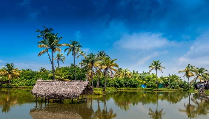 In most cases, Kerala to Goa by road begins from the beautiful city of Kochi located in Kerala.