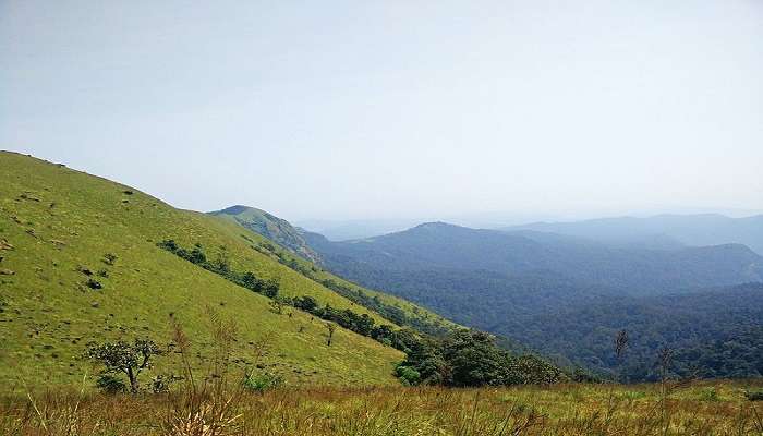 Explore the beautiful terrain of the Kodachadri Hills situated in the heart of Karnataka