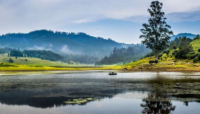 Reflective serenity mirrored in Kodaikanal's tranquil lake makes it one of the best offbeat places in Kodaikanal.