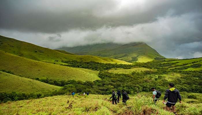 Sprawling view of the Kudremukh, showcasing lush green forest trails, ideal for trekking near Mysore. 