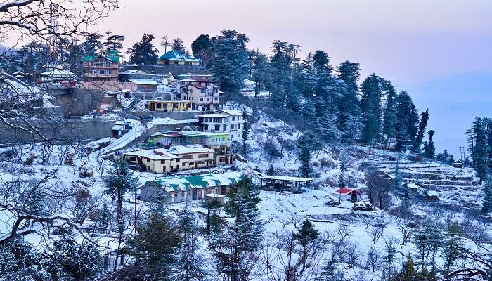 The astonishing Kufri, where the mountains whisper tales of snow and serenity