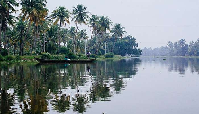 A haven for birdwatchers, Kumarakom is one of the most captivating and beautiful places in Kerala you must visit