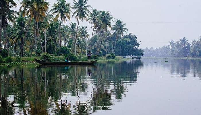 Enchanting beauty of Kumarakom backwaters