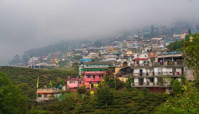 Being the closest thing to the definition of natural beauty, Kurseong is listed as one of the offbeat places near Kalimpong