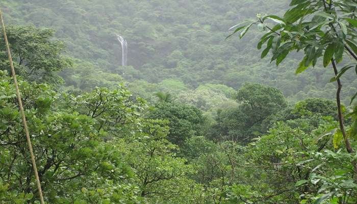 Enjoy the serene atmosphere at Kuske Waterfall, one of the beautiful waterfalls in South Goa.