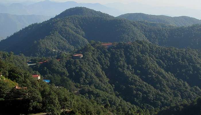 Lush greenery covered mountains in Landour, one of the offbeat places in Mussoorie