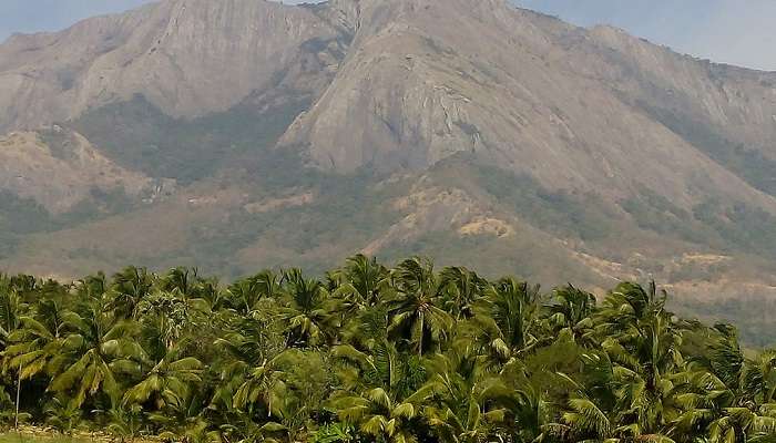 Coconut Tree Hill, Sri Lanka is one of the best tourist destinations