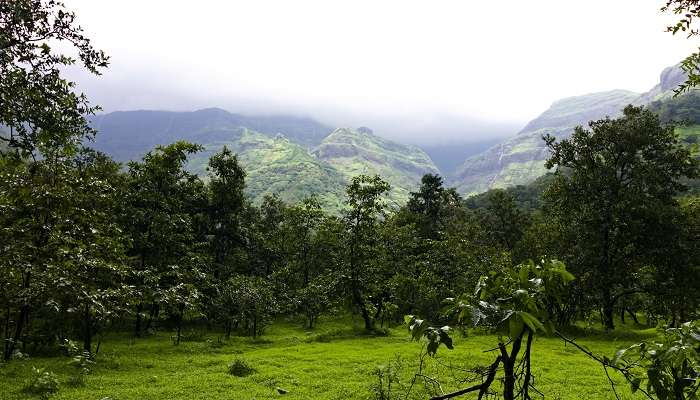 Malshej Ghat Trek is popular among adventurers exploring trekking near Karjat.