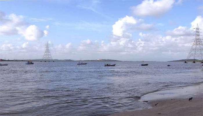 An image from the Gorai creek 