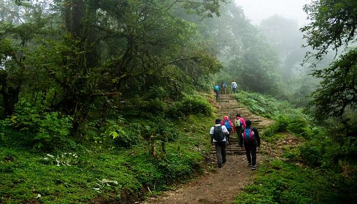Hikers trekking near Pokhara’s mountain path during the Mardi Himal Trek.