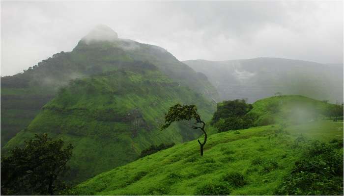 Matheran offers lush landscapes to relax, making it one of the favourite picnic spots in Maharashtra. 