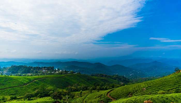 The surreal landscape of Munnar to experience during Goa to Kerala road trip.