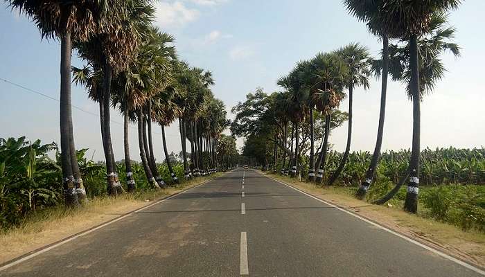 Parra road in Goa, which is definitely worth exploring on your Gokarna to Goa road trip