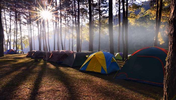Camping amidst a lush green forest is a must during trekking near Bangkok for a wholesome vacation.