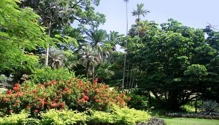 The entrance gate of National Botanical Gardens, Seychelles.