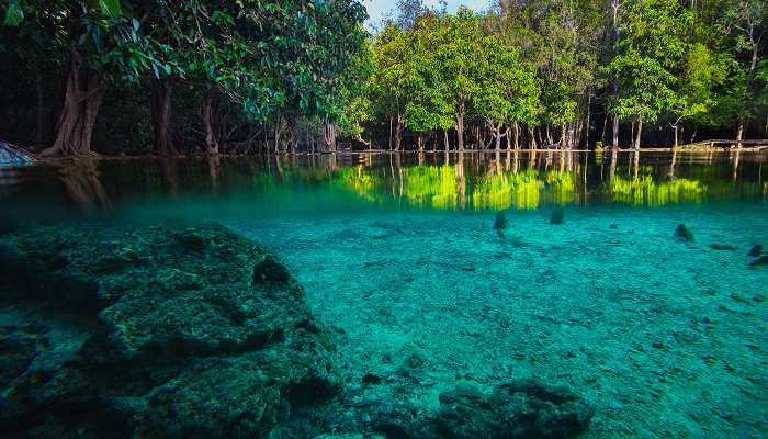 Explore this harmonious blend of water, forest, and sky at the Emerald Pool located in Krabi, Thailand