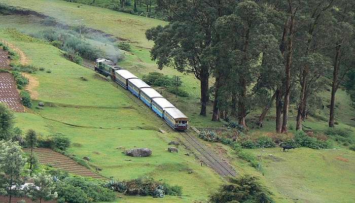 Toy trains are operable even today around Nilgiri Mountain Railway line.