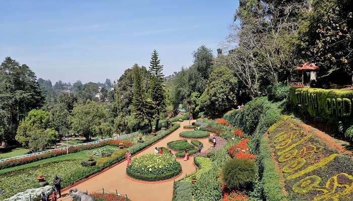 A mesmerising view of Ooty Botanical Garden