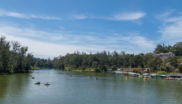 A delightful view of Ooty Lake during road trip from Coimbatore to Ooty