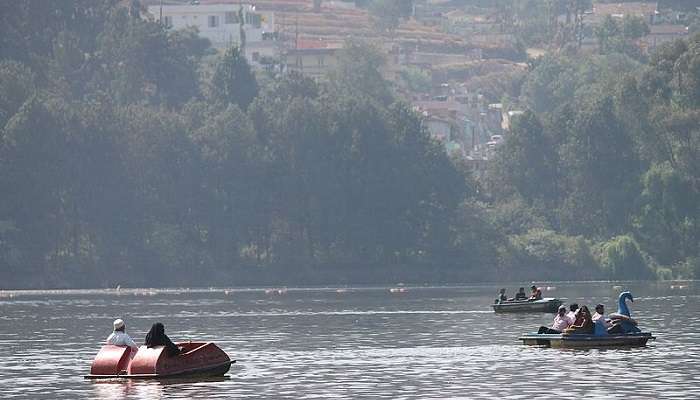 You can enjoy boating at the Ooty Lake.