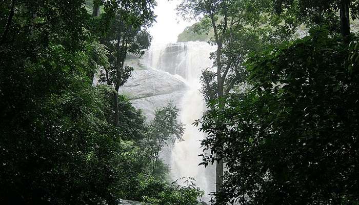 Mighty Palaruvi Waterfalls is one of the best places to visit near Thirumullvaram Temple 