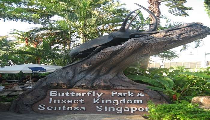 Parc aux papillons et royaume des insectes, C’est l’une des meilleurs attractions touristiques de Singapour