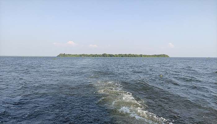  A distant view of Pathiramanal Island 
