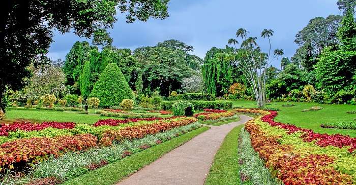 Peradeniya Botanical Gardens Sri Lanka Explore The Beauty Of Nature