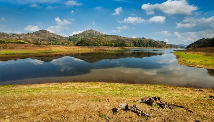 The picturesque view of Periyar Wildlife Sanctuary, must-visit spot during Munnar to Thekkady road trip.