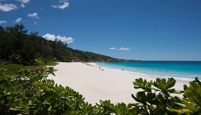 Exciting trip to Anse Forbans Beach Seychelles