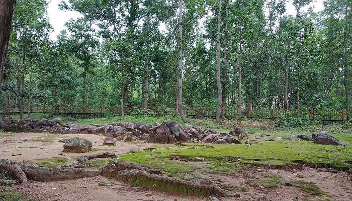 Picnic Spots in Keonjhar