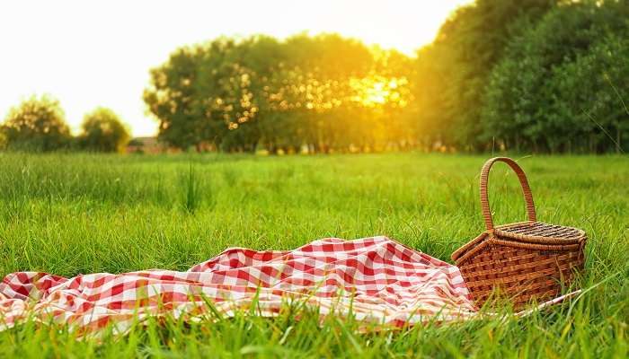 Picnicking with your loved ones is one of the best ways to spend time near the lake