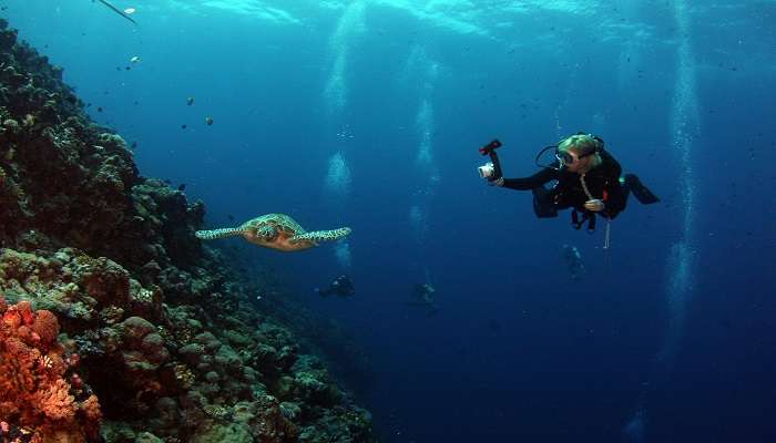 Plongée sous-marine, C’est l’une des meilleures activités aventureuses à Singapour