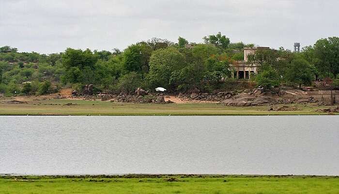 A thrilling view of Pocharam River near Basara Saraswathi Temple