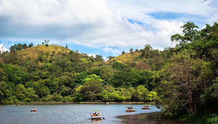 Visit Pookode Lake during the Kannur to Wayanad road trip